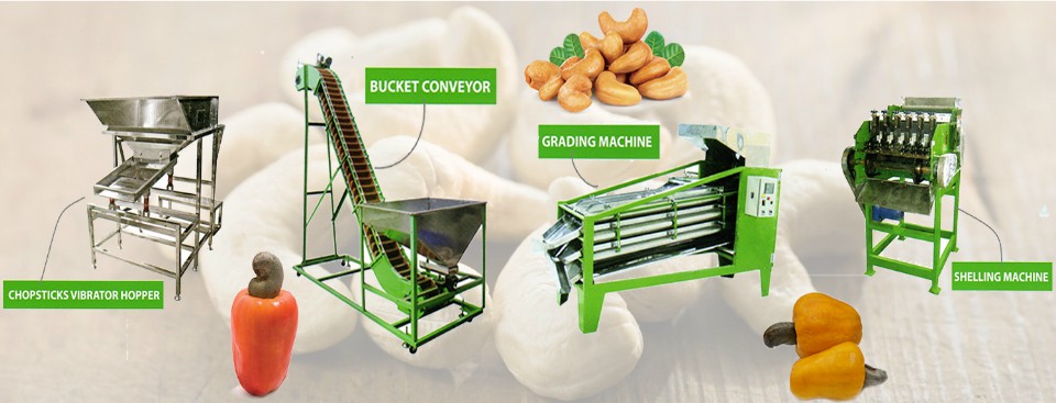 Cashew Processing and Cutting Machines in Gujarat