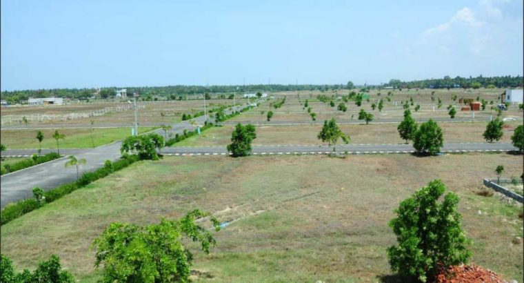 3.9 Lakhs DTCP Approved Plots in ECR CT: 90069 90069