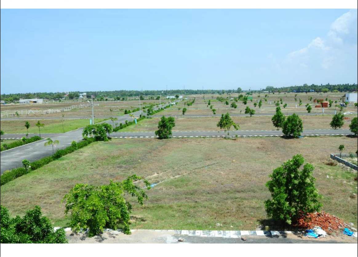 3.9 Lakhs DTCP Approved Plots in ECR CT: 90069 90069