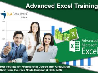 Learn Both Basic & Advanced Excel Training in Laxmi Nagar New Delhi at SLA Consultants India