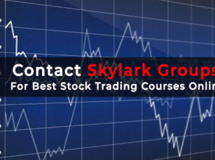Contact Skylark Groups For Best Stock Trading