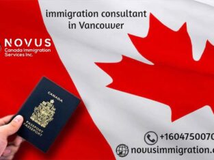Immigration Consultant Vancouver – Novusimmigratio