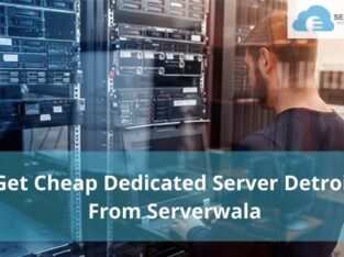 Get Cheap Dedicated Server Detroit From Serverwala