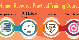 HR Generalist Course in Preet Vihar SLA Consultant