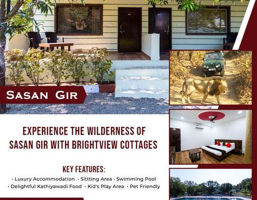 Best Resorts in Sasan Gir – Bright View Cottage