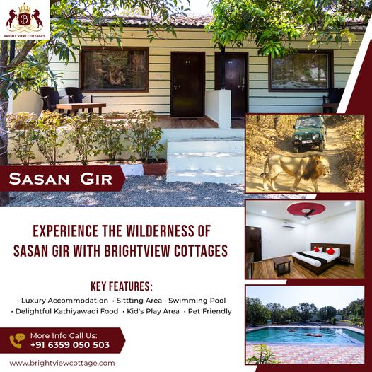 Best Resorts in Sasan Gir – Bright View Cottage
