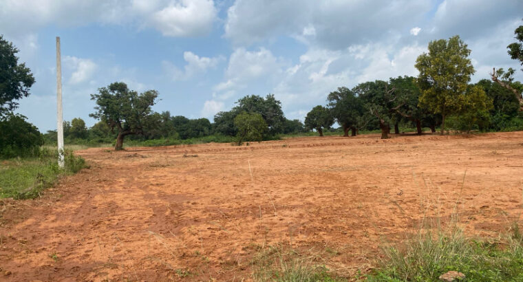 Land / Plot for sale in Berhampur