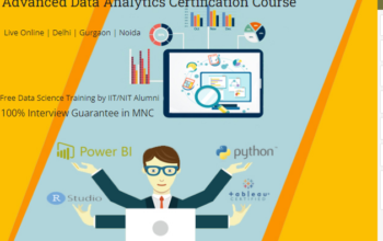 Data Analyst Course in Delhi, 110055. SLA