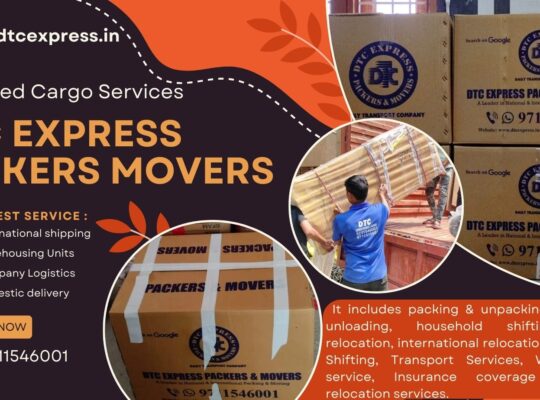 Delhi to Bangalore Packers and Movers