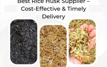 Best Rice Husk Supplier – Cost-Effective & Timely
