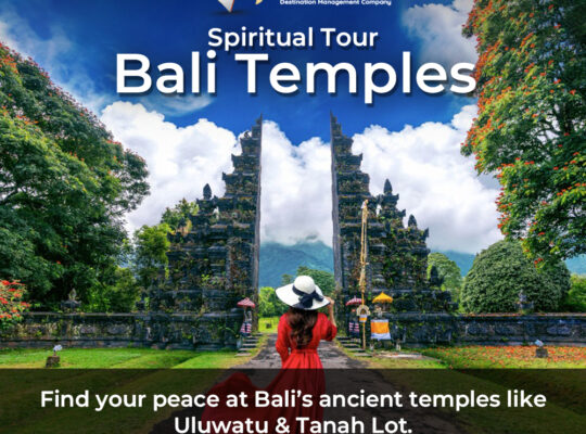 Bali Tour Package Tropical Paradise Awaits