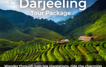Darjeeling Tour Package Scenic Escape to the Hill