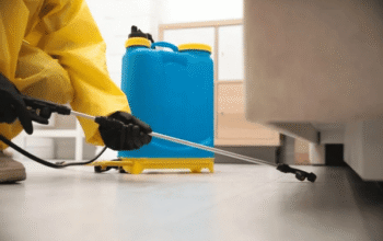 Flies Control Services in Coimbatore