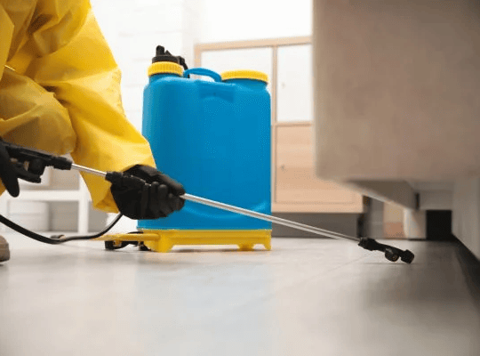 Flies Control Services in Coimbatore