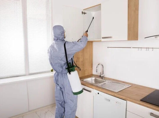 Mosquito Control Services in Coimbatore