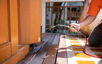 Pest Control Services in Coimbatore