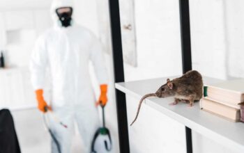 Rat Control Services in Coimbatore