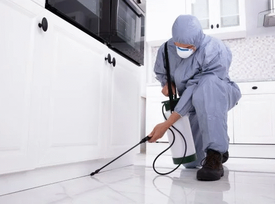 Termite Control Services in Coimbatore