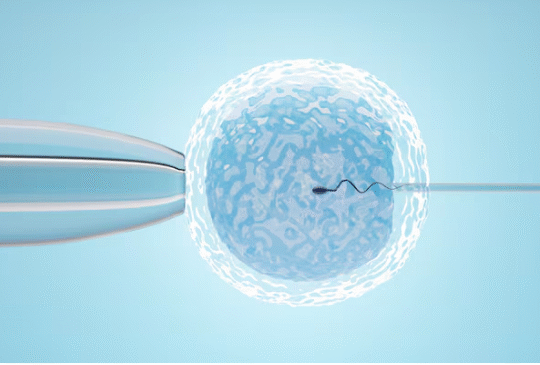 Best IVF Abu Dhabi