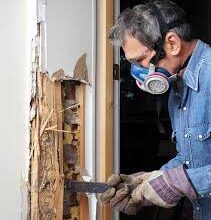 Pest inspection Melbourne