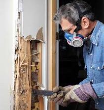 Pest inspection Melbourne