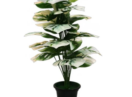 Shweta Enterprise – Artificial Plants & Grass