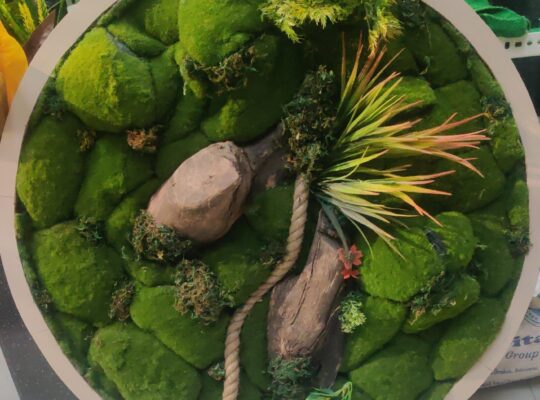 Shweta Enterprise – Artificial Plants & Grass