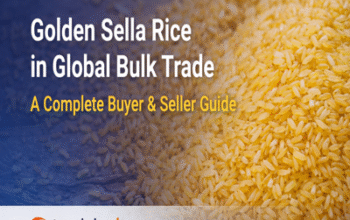 Swarna Non Basmati Rice Exporter for Global Bulk Buyers